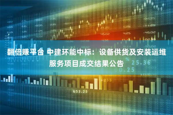 翻倍赚平台 中建环能中标：设备供货及安装运维服务项目成交结果公告