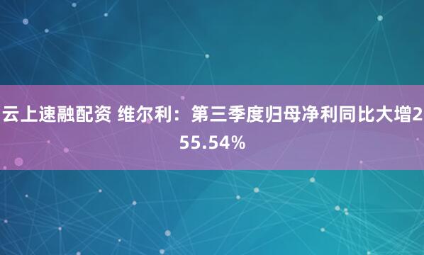 云上速融配资 维尔利：第三季度归母净利同比大增255.54%