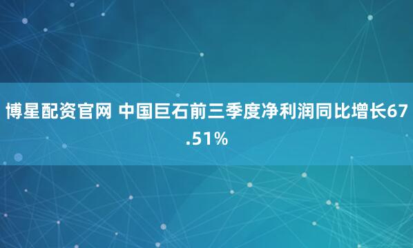 博星配资官网 中国巨石前三季度净利润同比增长67.51%
